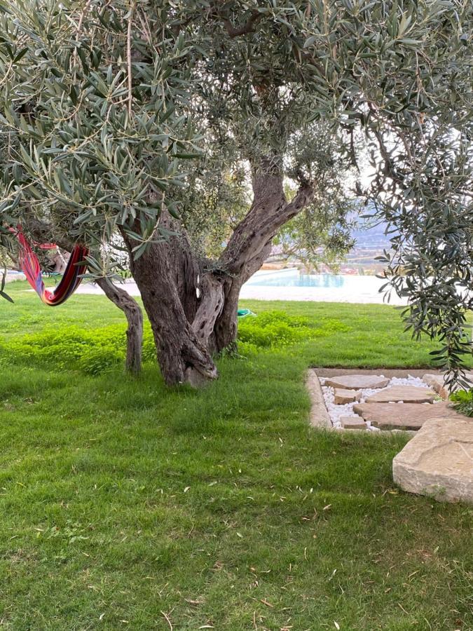 Casa Delle Sirene Nto Principe Hotel Falcone Eksteriør billede