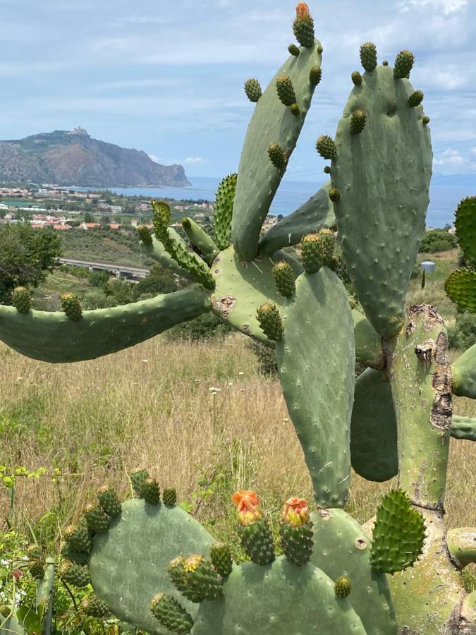 Casa Delle Sirene Nto Principe Hotel Falcone Eksteriør billede